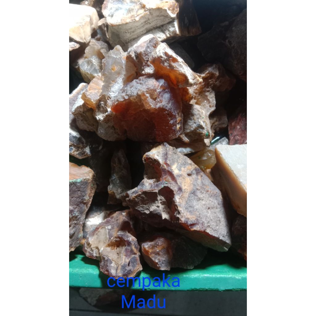 Batu Cempaka madu reflesia