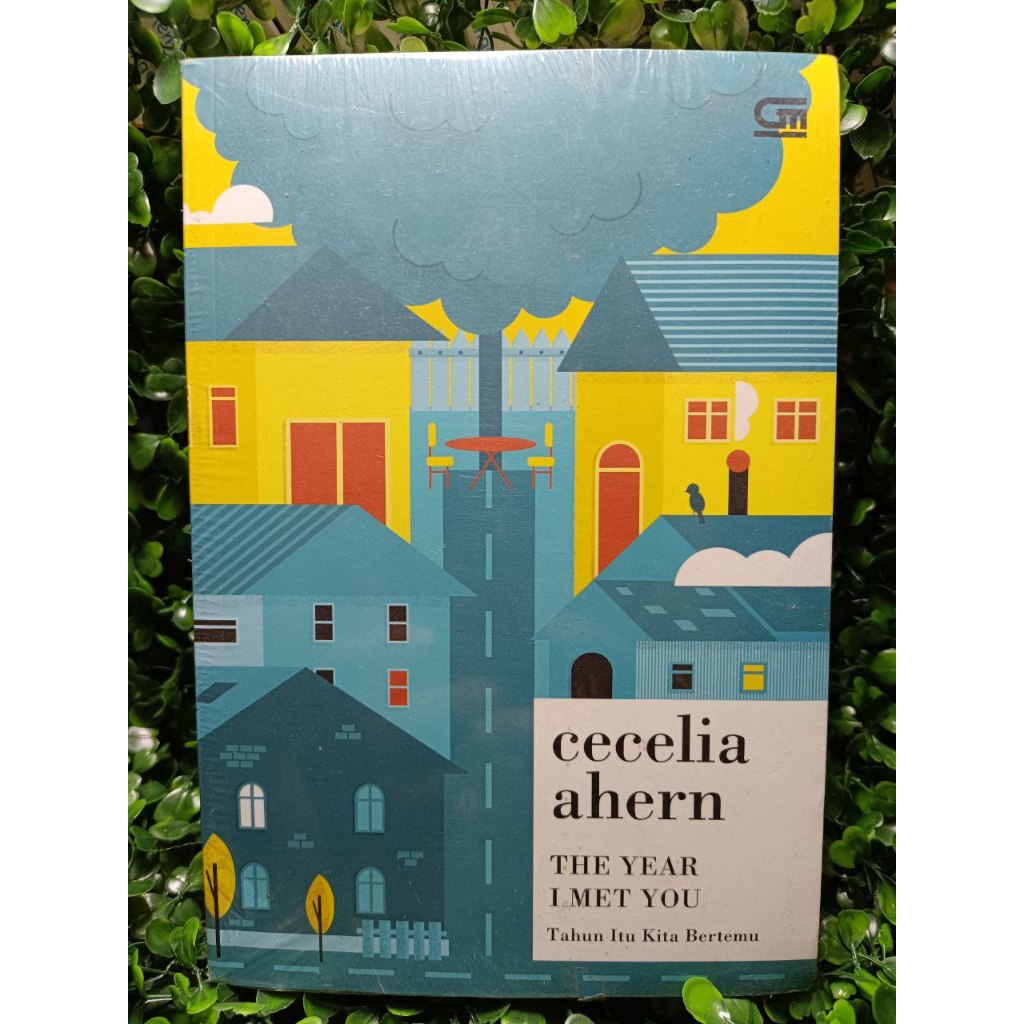 Novel The Year I Met You - Cecilia Ahern