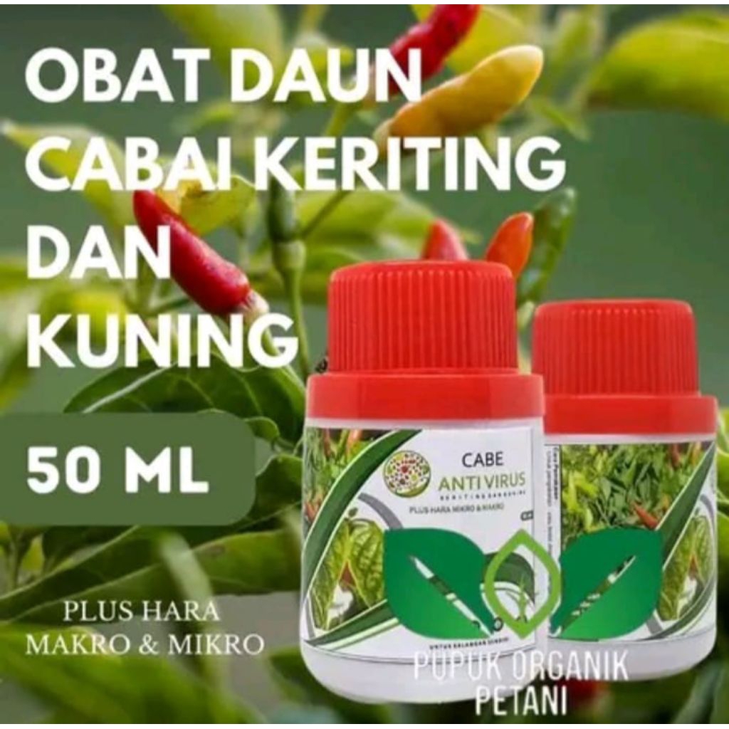 Pupuk organik cabai anti virus keriting obat daun menguning cabe atasi daun kuning dan keriting