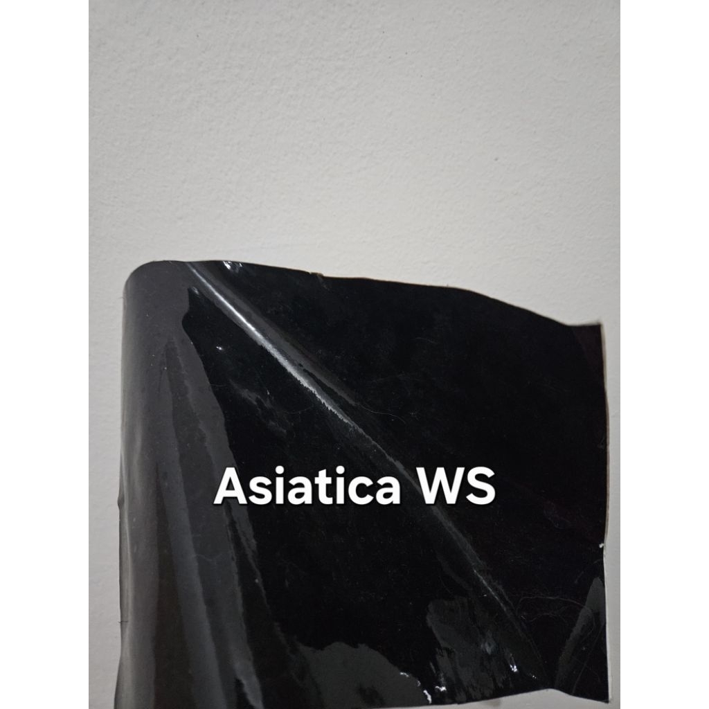 Asiatica WS