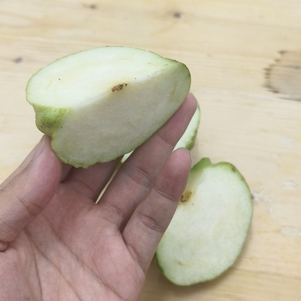 Jambu Kristal 100% Tanpa Biji Kemasan Vakum | Baru Petik | Jambu Supplier Swalayan WSS |  Renyah, Ma