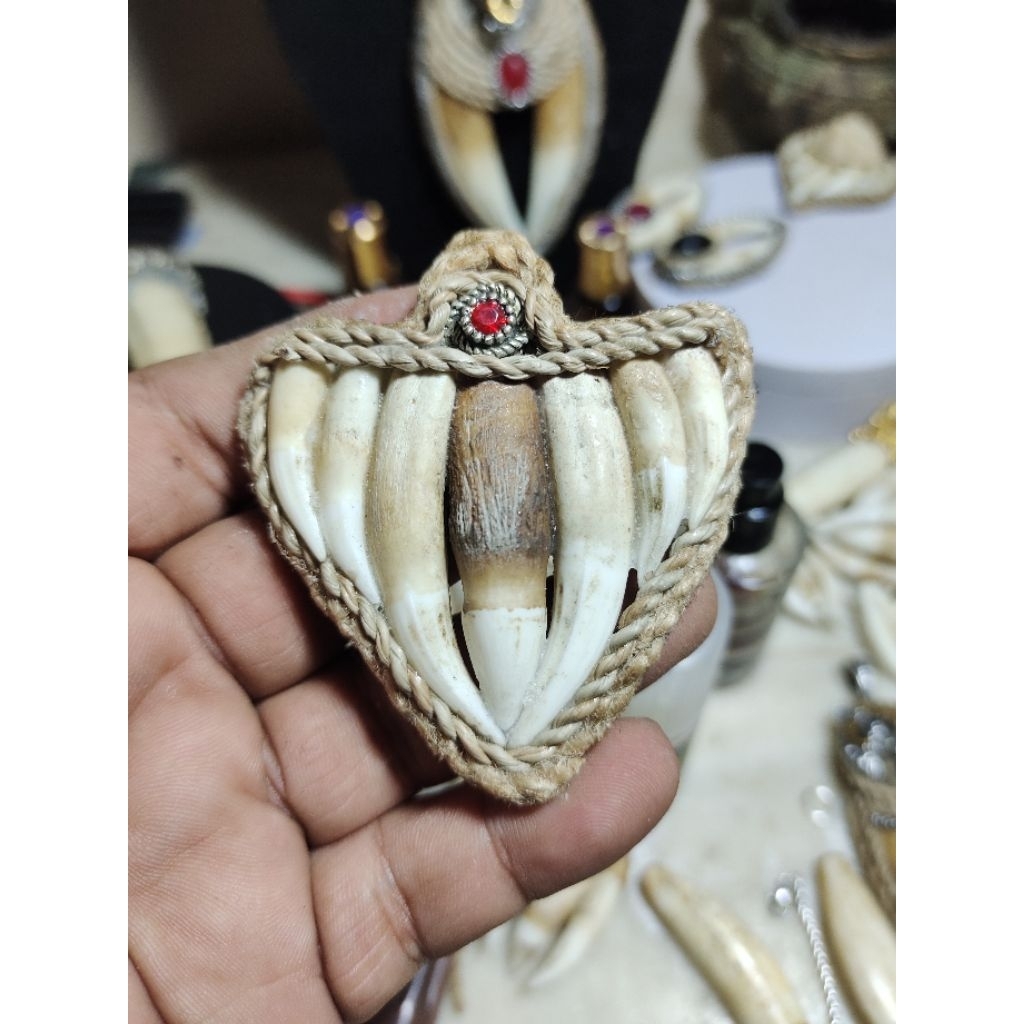 Liontin Taring Buaya Pancar 7