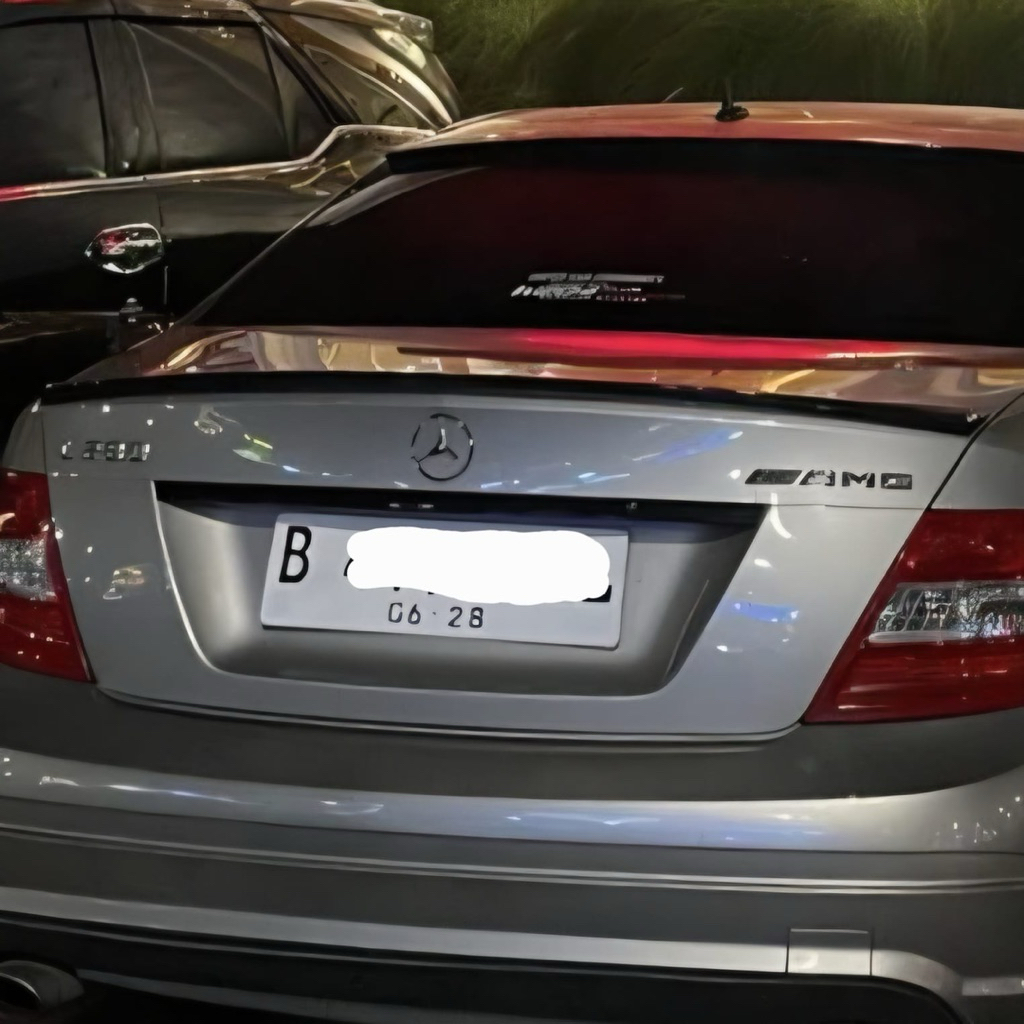 Ducktail Carbon Mercy W204