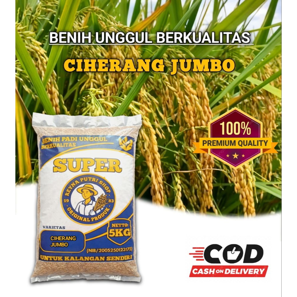 Benih padi ciherang jumbo kemasan 5kg