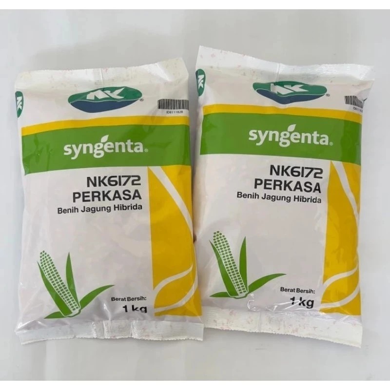 Benih JAGUNG HIBRIDA NK 6172 PERKASA 1KG #bibit jagung#jagung perkasa#bibit nk perkasa