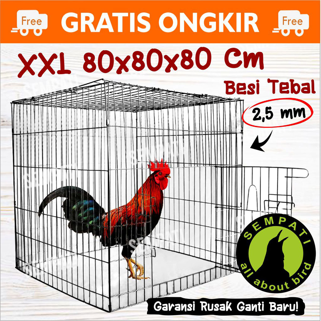 SEMPATI
 Sangkar Kandang Besi Kotak Kurungan Ayam Jago Laga Aduan Petarung Kurungan Ayam Galvanis Ko