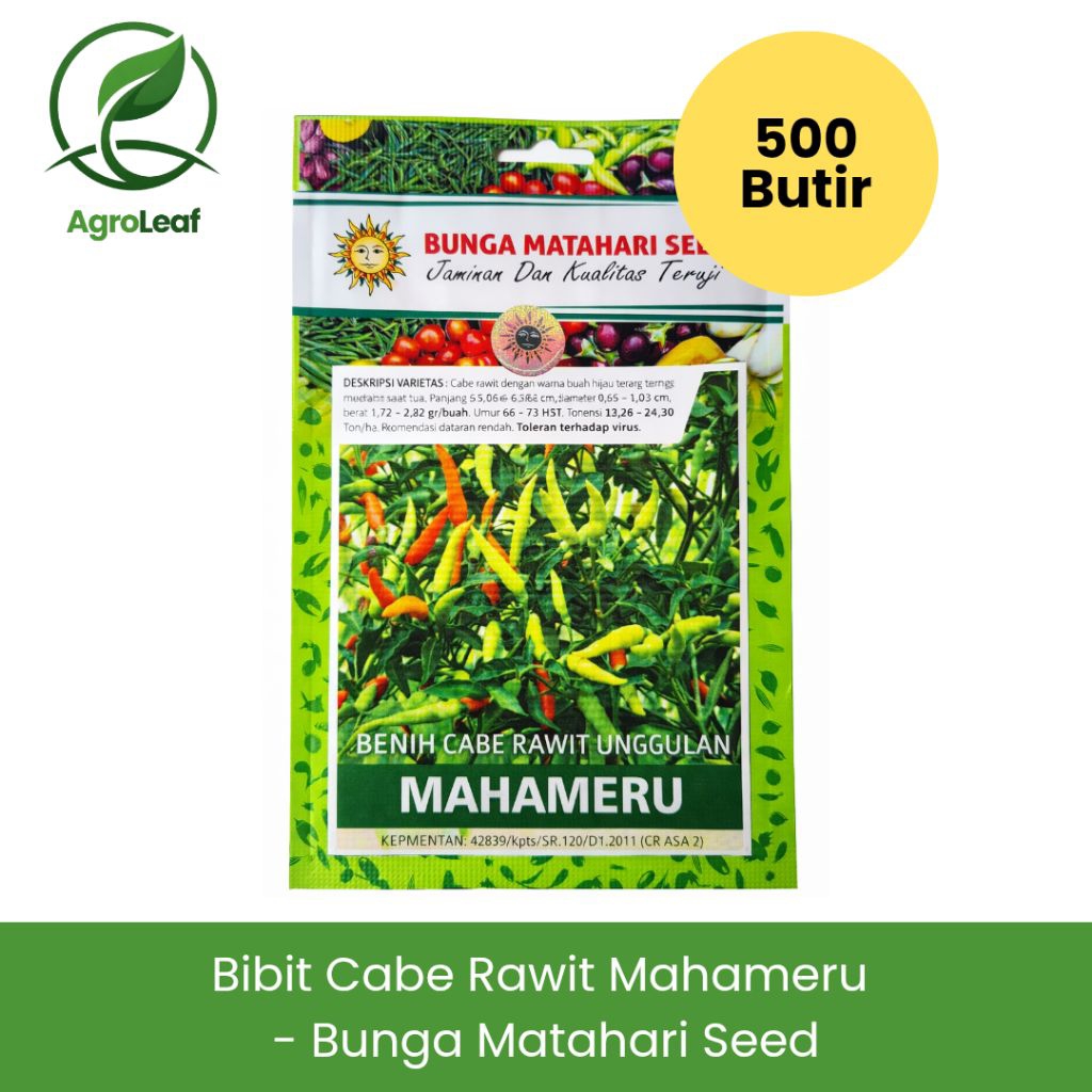 BIBIT CABE RAWIT UNGGULAN MAHAMERU - BUNGA MATAHARI SEED (500 BUTIR) | Benih Cabai Rawit Pedas Unggu