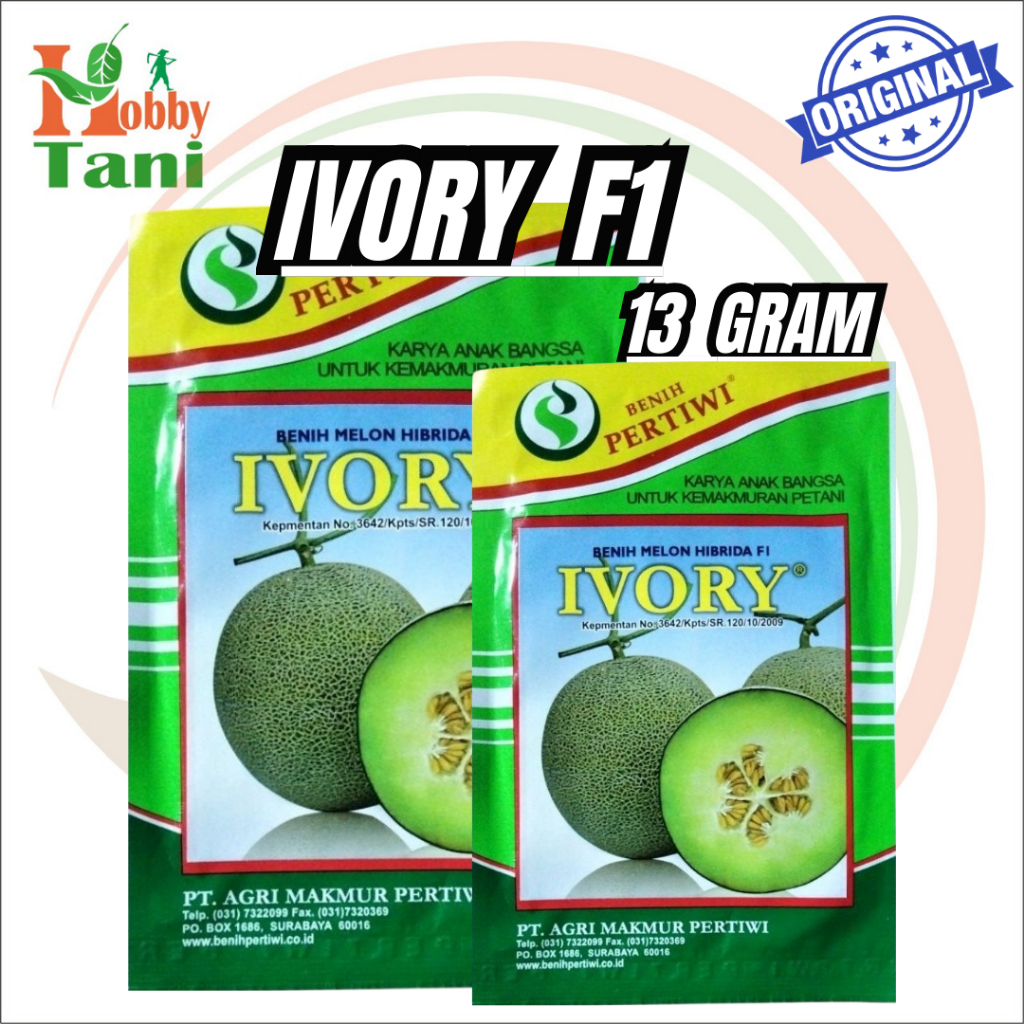 BENIH MELON NEW IVORY ANVI F1 13 GR PERTIWI ORIGINAL