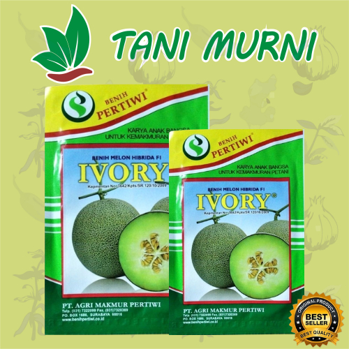 TANI MURNI ~ Benih Biji Melon IVORY kemasan 13gr Cap Pertiwi Original