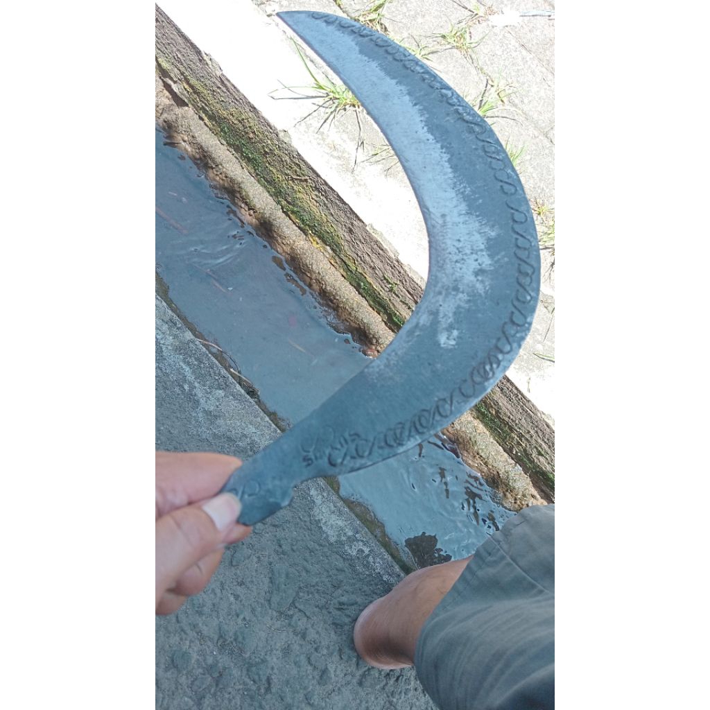 sabit rumput dalangan wonosobo