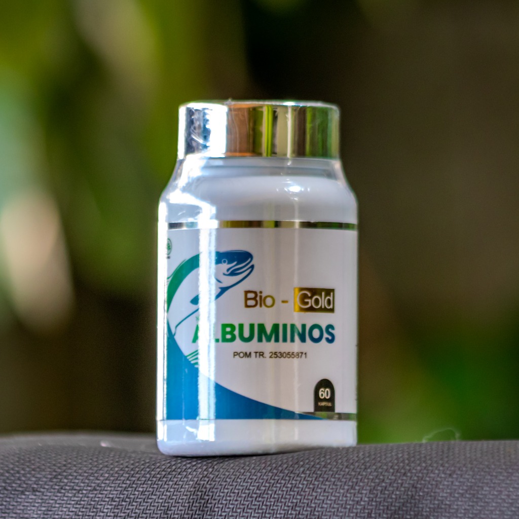 KAPSUL ALBUMINOS Ekstrak Ikan Gabus Albumin ASLI BIO GOLD