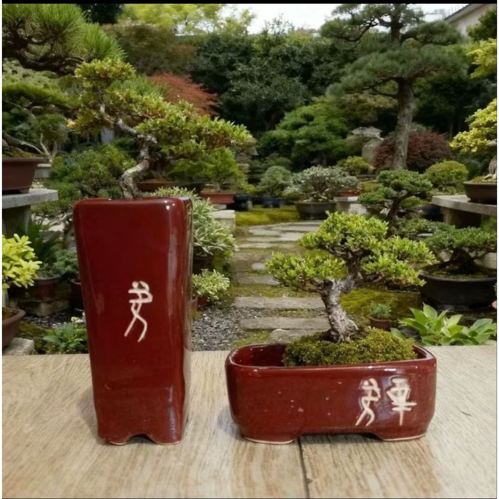 Paket Hemat 2pcs Pot Keramik Bonsai Cascade Premium Pot Keramik Tanaman Hias Pot Pohon Bonsai