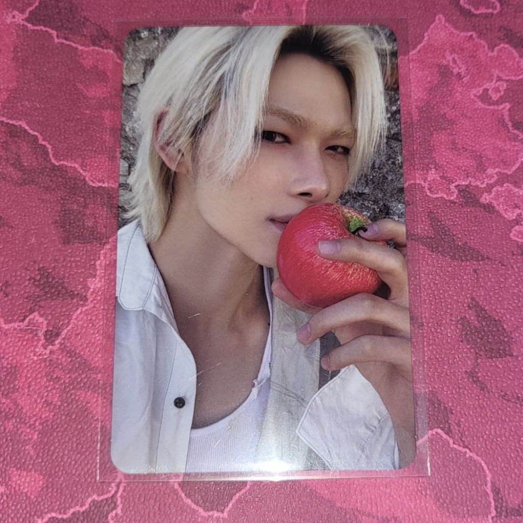 Enhypen niki photocard pc official the sin vanish fugitive