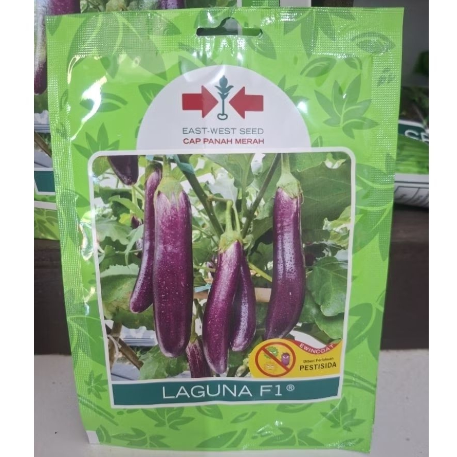Benih Terong Laguna F1 400 Butir