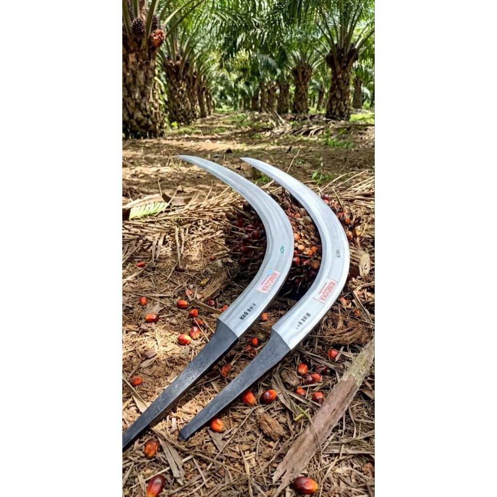 Egrek Kingoya Alat Panen Sawit