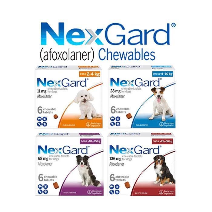 NexGard Dog Obat Kutu Anjing Demodex Scabies Nexgard Chewables