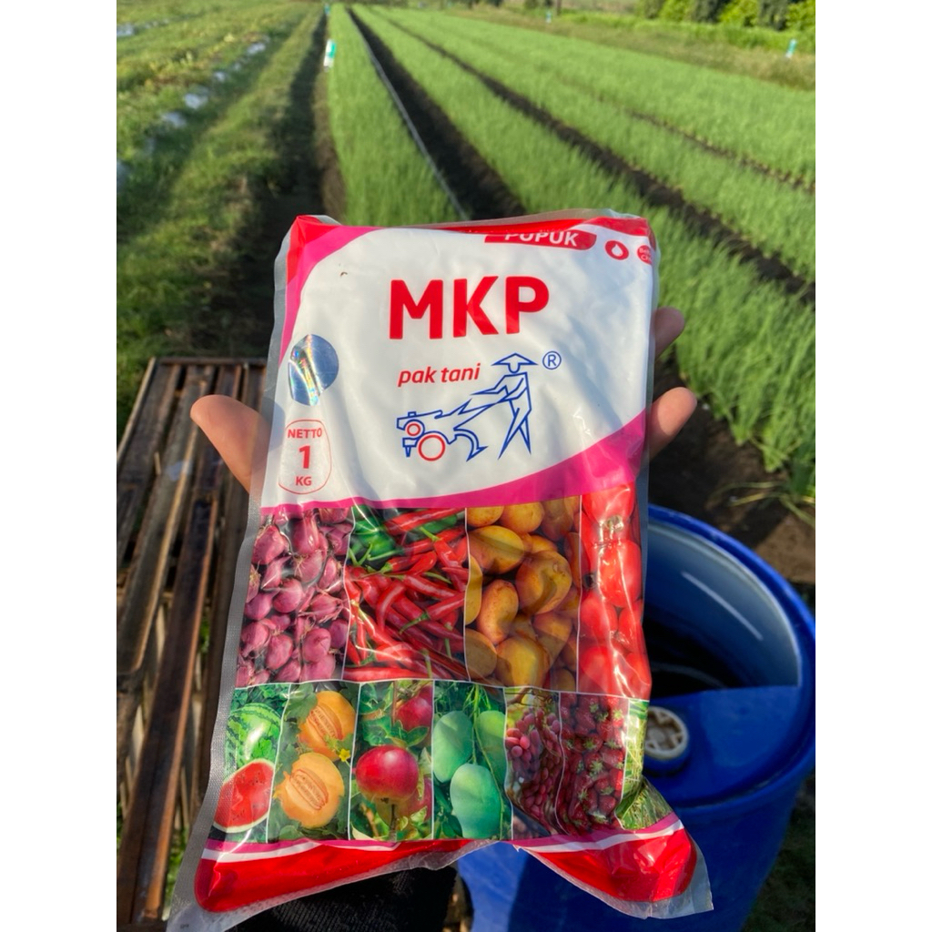 Pupuk MKP (Mono Kalium Phospat )