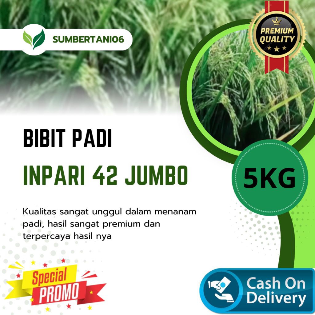 BIBIT PADI INPARI 42 JUMBO KEMASAN (5KG) BERKUALITAS UNGGUL DAN TERPERCAYA