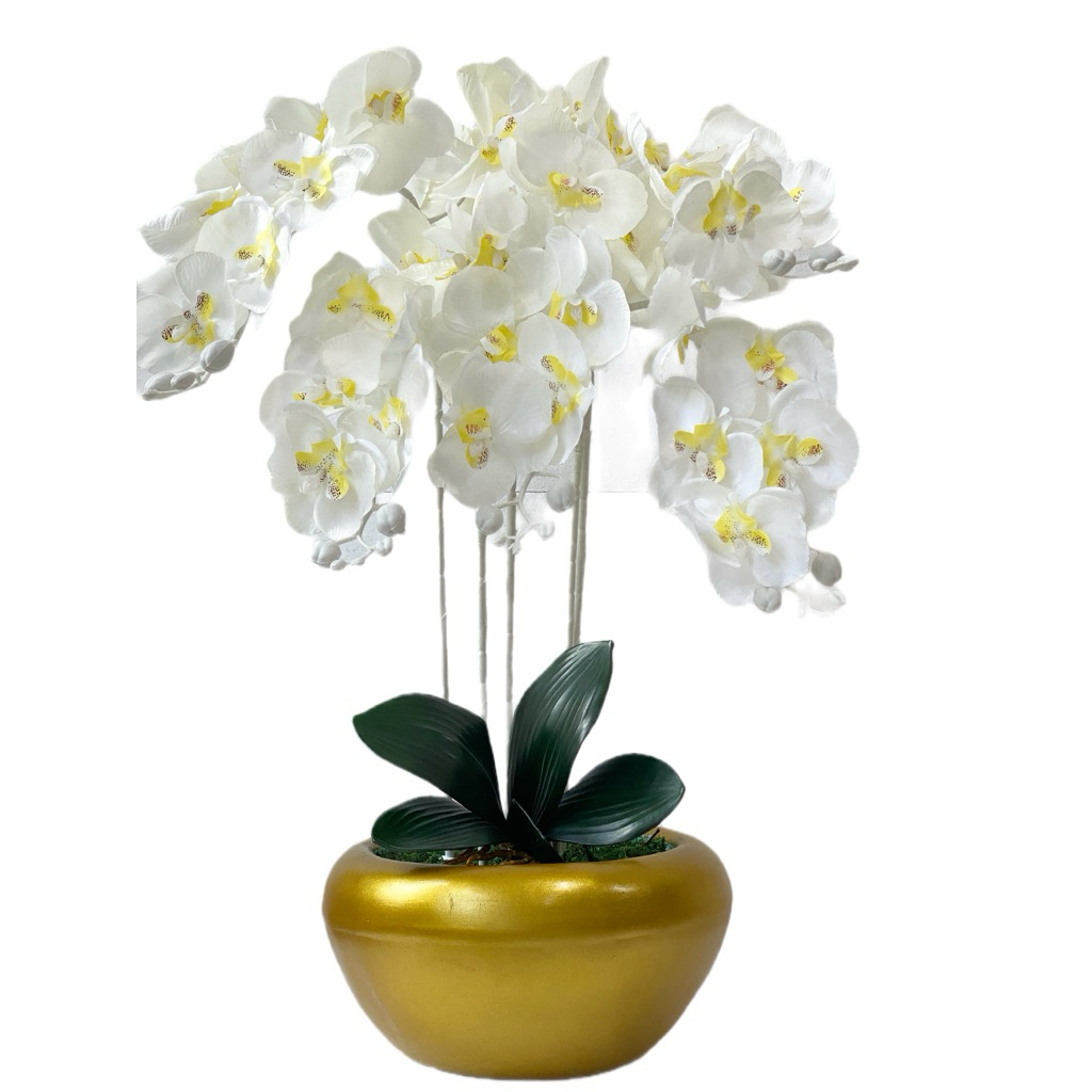 Pajangan tanaman bunga anggrek hiasan dekorasi sudut ruang meja tamu