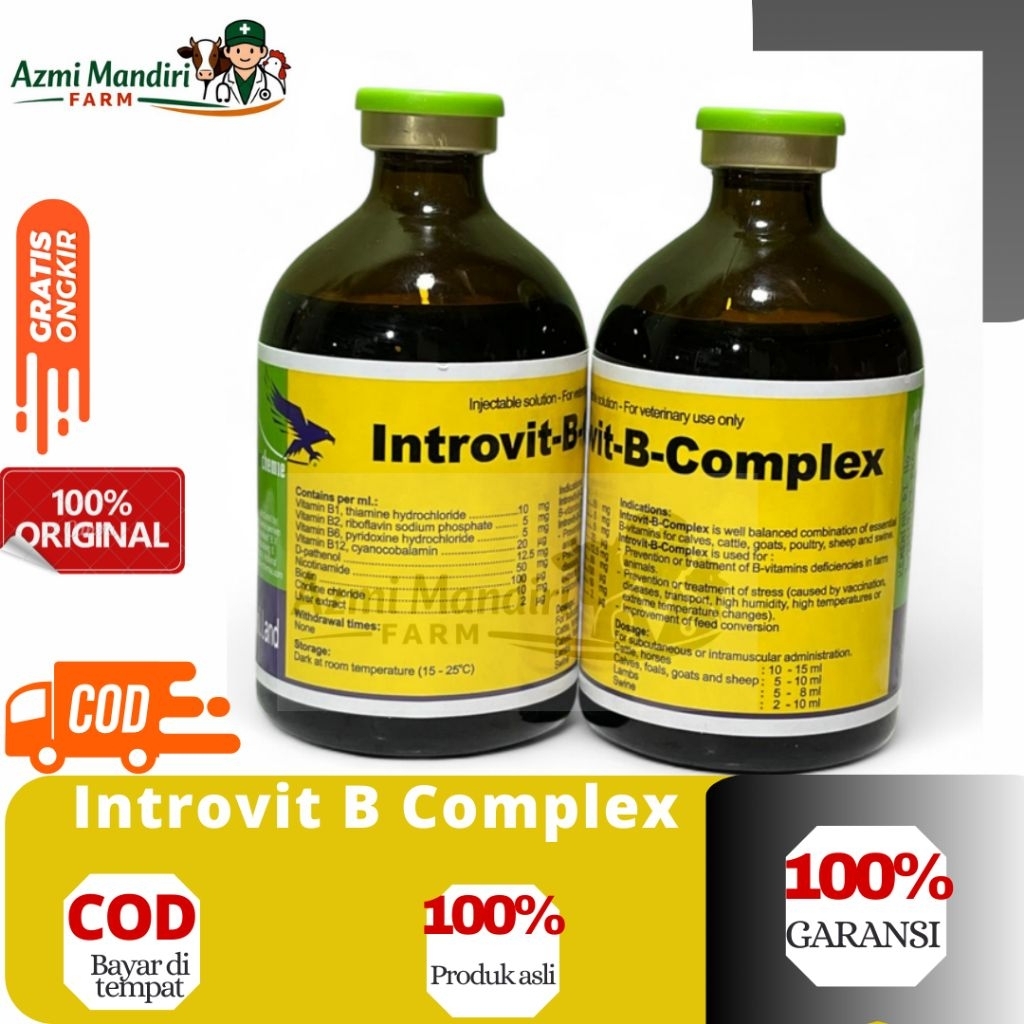 Introvit B Complex 100 ml - Injeksi Introvit B Komplek