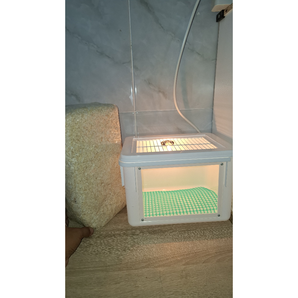 Box Lolohan / kandang burung