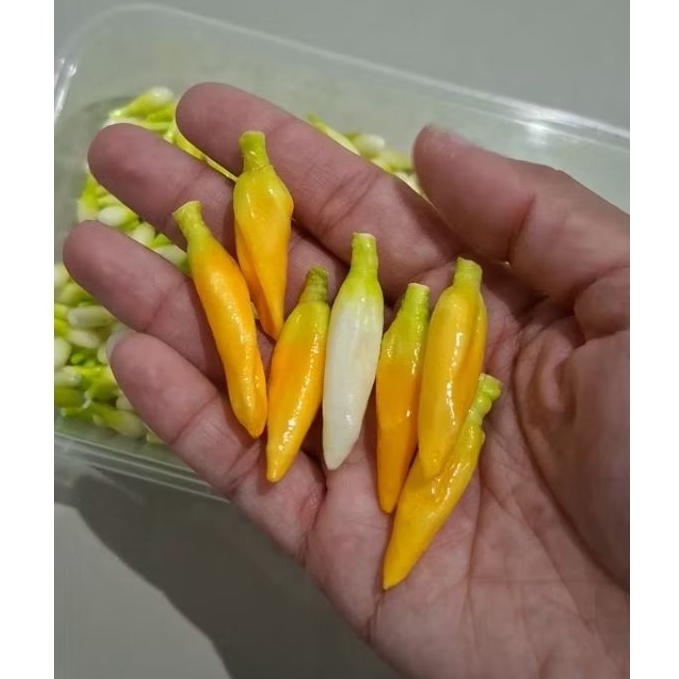 Bunga kantil melati palsu siap ronce