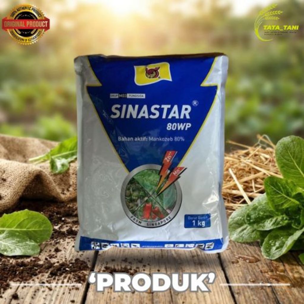 SINASTAR  80 WP FUNGISIDA MANKOZEB 80%