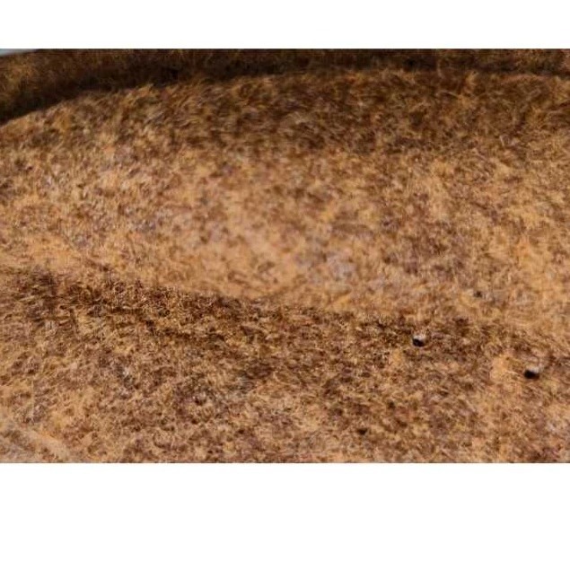 Avanos Karpet Bludru 3,5m x 4m Coffee LEBAR KARPET 4 METER, Karpet Brudu Murah Pameran