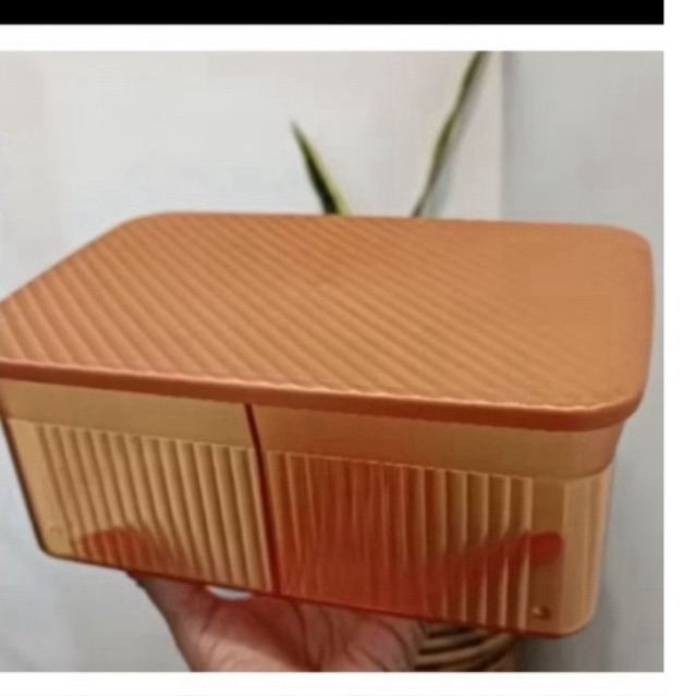 snack it tupperware