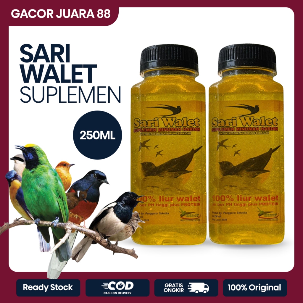 [PAKET HEMAT MURAI KONSLET] Suplemen Sari Walet 250ml + Vitamin Power Murai Konslet Vitamin 30ml