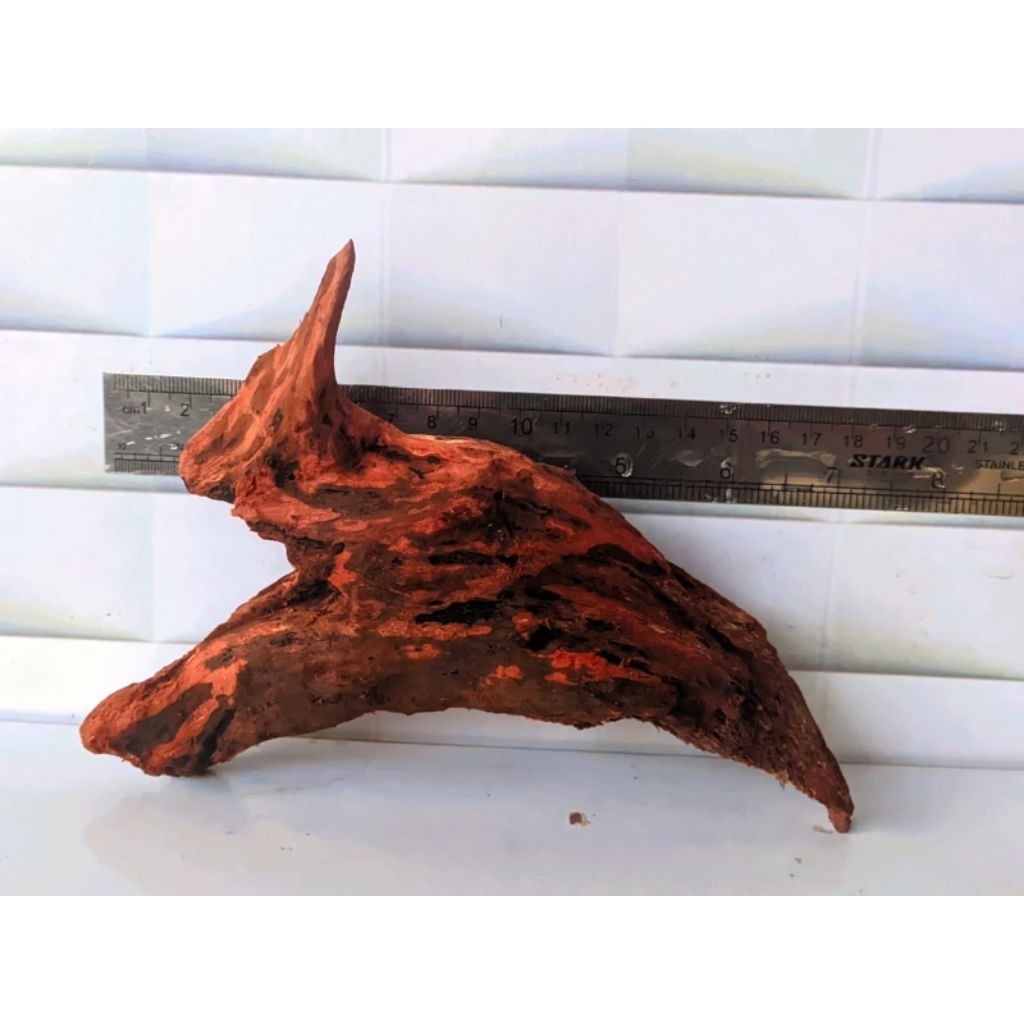 Kayu rentek mini tenggelam