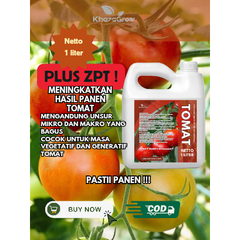 Pupuk Organik Cair Tomat / Pupuk MASA VEGETATIF DAN GENERATIF / Nutrisi Tomat / POC Tomat KEMASAN 1 