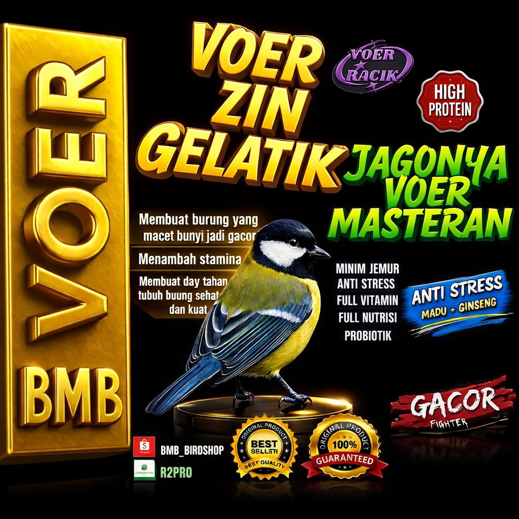 VOER GELATIK BATU PAKAN KHUSUS BURUNG GELATIK BERPROTEIN TINGGI SUPAYA TAMBAH GACOR
