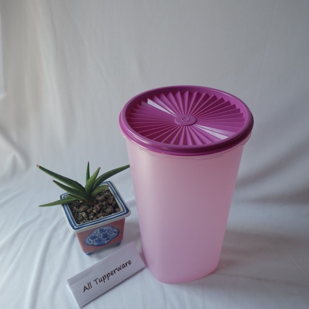 snack keeper /Toples Tupperware