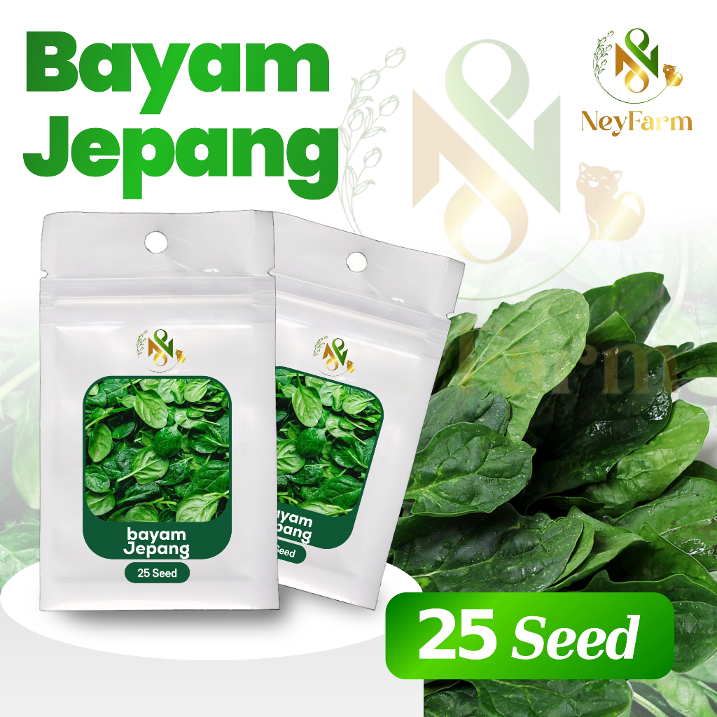 25 Biji Benih Bayam Jepang Sayuran Daun Bayam Jepang Benih Sayur Berkualitas