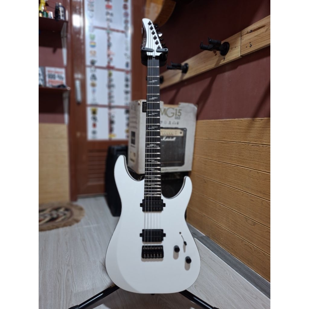 Gitar shecter repear 6