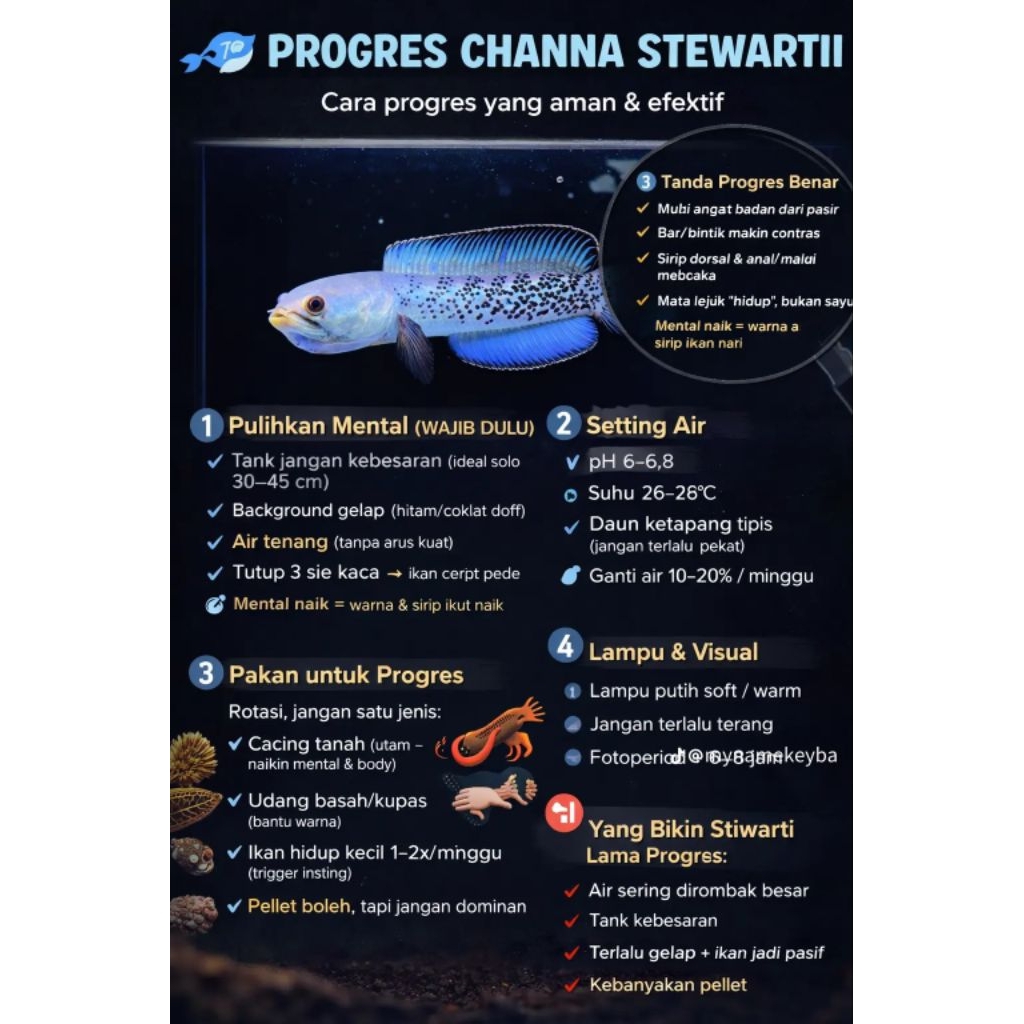 Stiker Channa stewarti cb size 15 cm