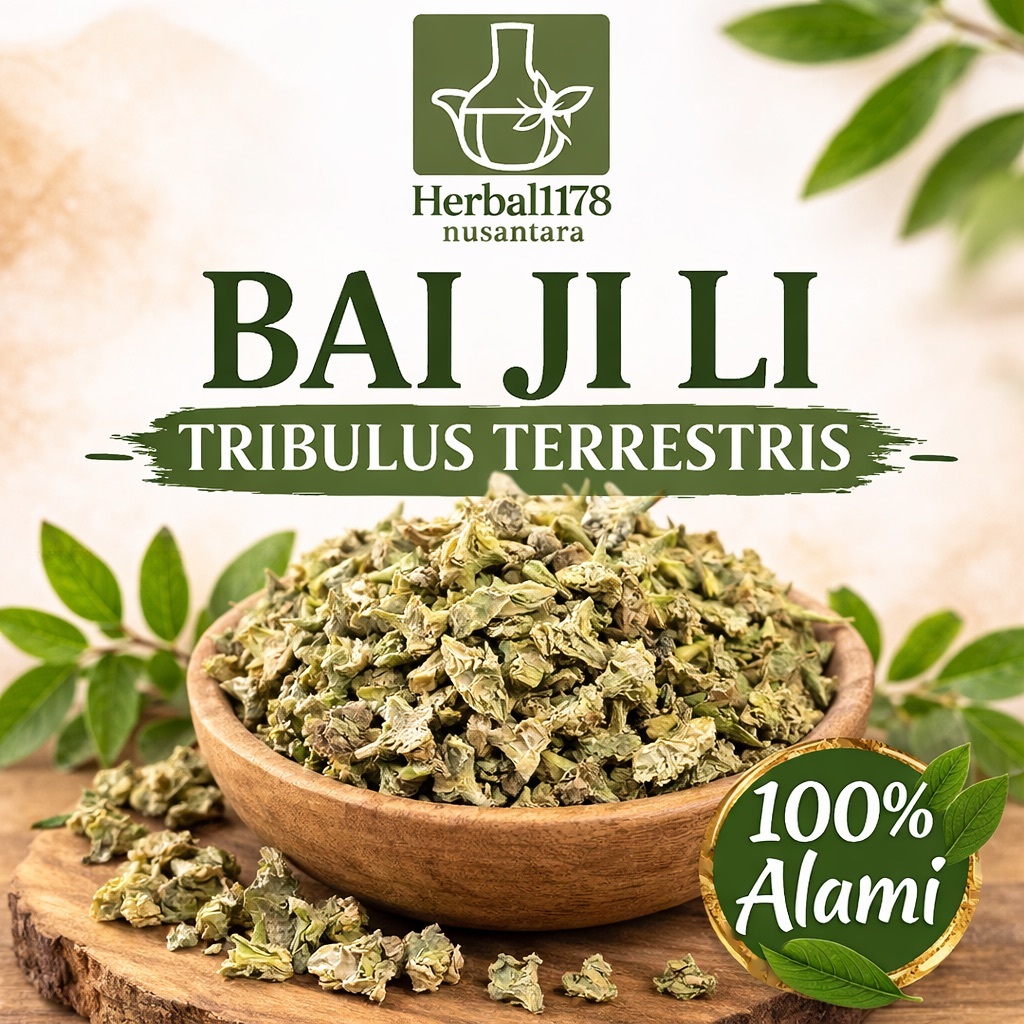 Bai Ji Li / Tribulus Terrestris | Herbal Alami Untuk Stamina Halal