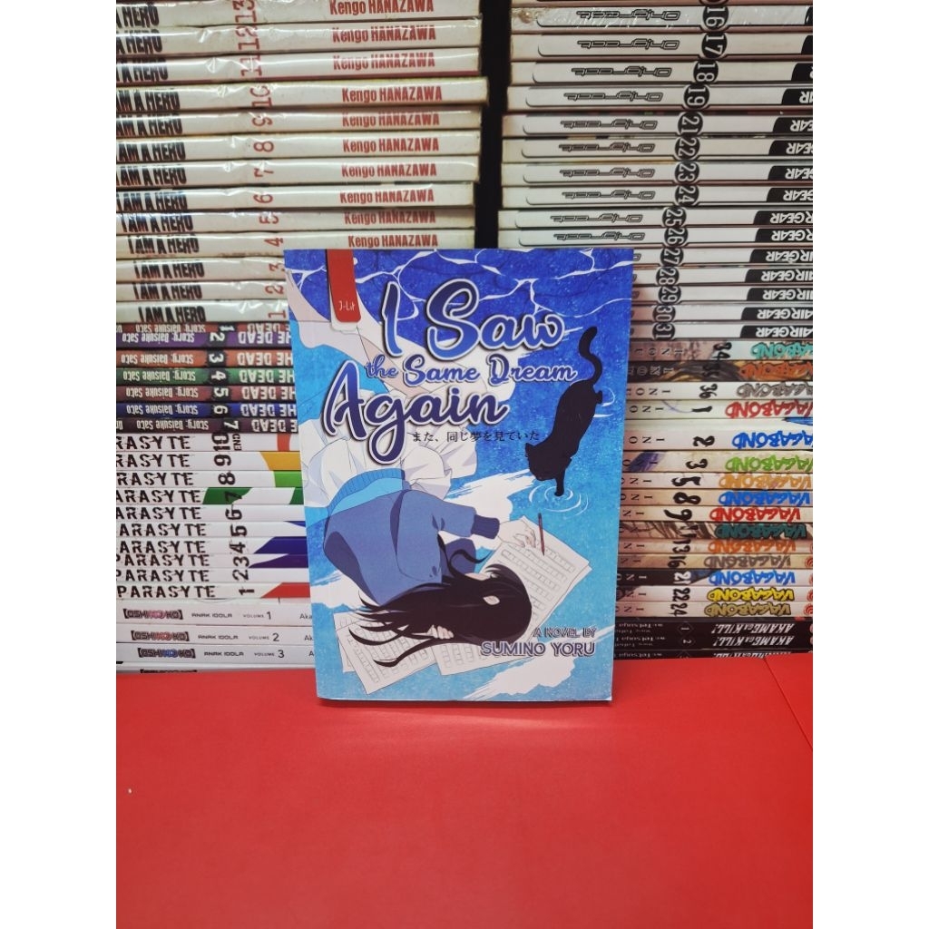 Novel I Saw The Same Dream Again Segel