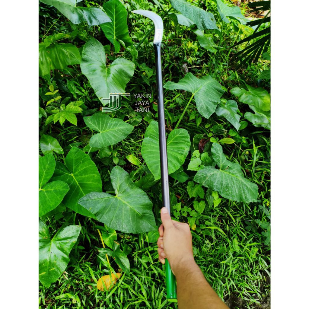 alat penyiang rumput - pemetik buah - kastrasi - sabit baja selendang multifungsi jhisung - panjang 
