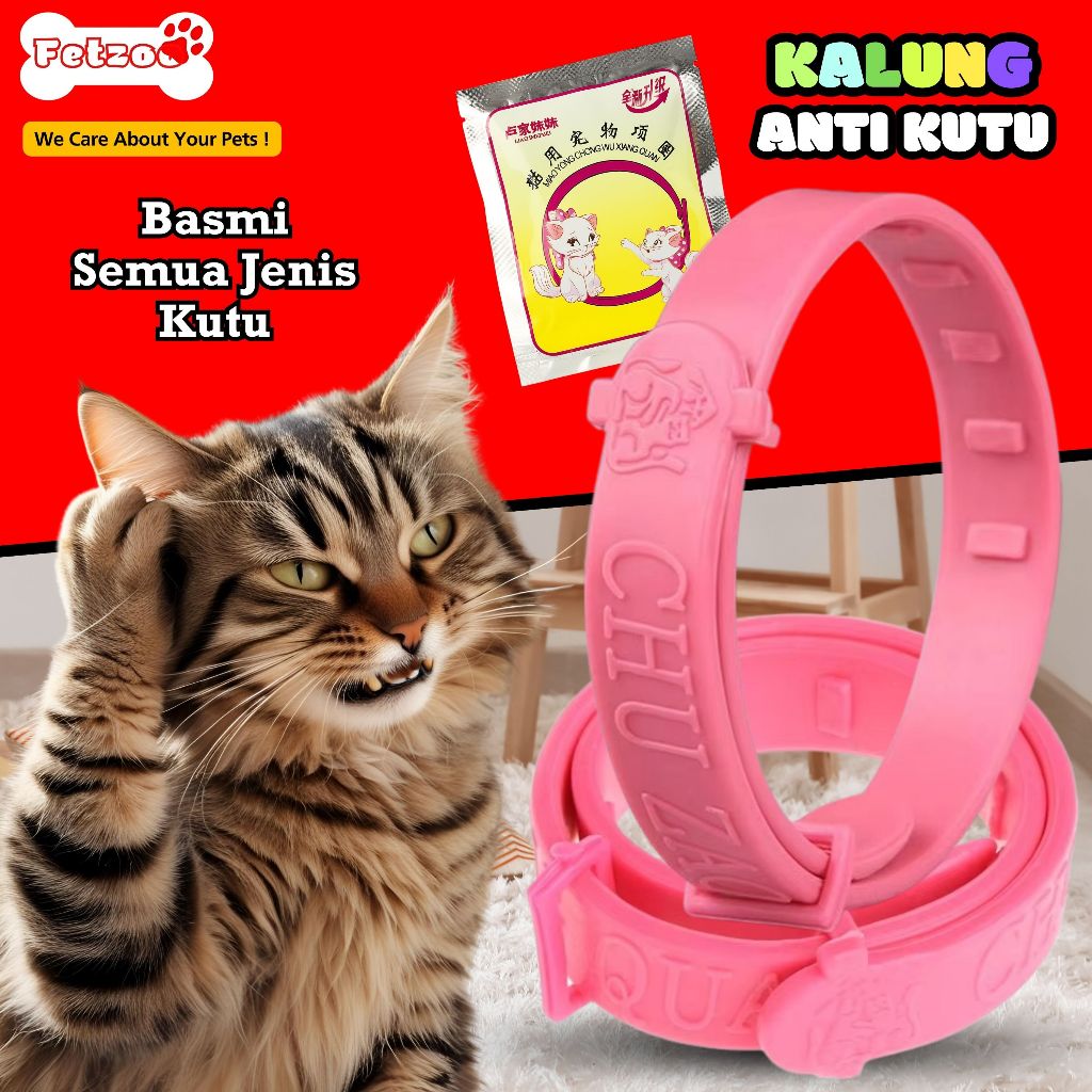 KALUNG PUTIH ANTI KUTU ANTI NYAMUK Flea Tick Cat Kalung Kucing Anjing Murah Lucu Untuk Kitten Akseso