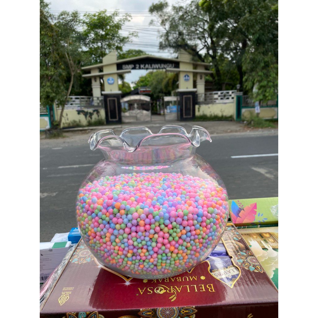 Styrofoam || Aquarium || Aquarium give away || Styrofoam give away