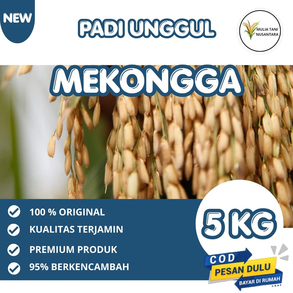 Benih Padi Mekongga Kemasan 5 Kg Bersertifikat Label Ungu