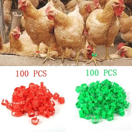 100PCS Ring Kaki Ayam Adjustable Bebek Klip Gelang Unggas Plastik Cincin Kaki Tanda Ring