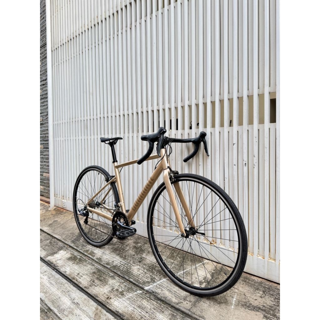 Sepeda Roadbike Dominate RR Size S Upgrade