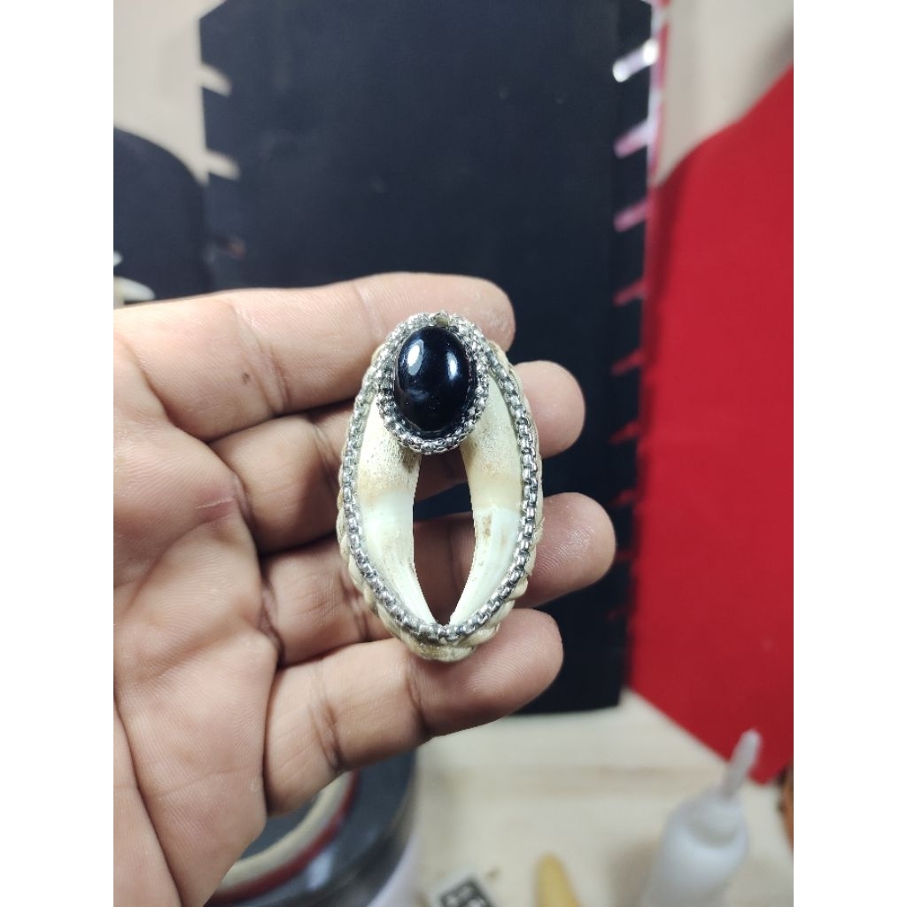 Liontin taring buaya Galih Kelor Hitam