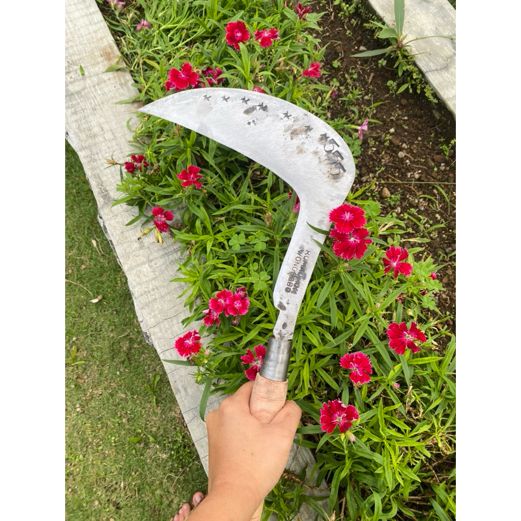 Arit pemotong rumput dan padi baja Isen selap3 asli dari Wonosobo