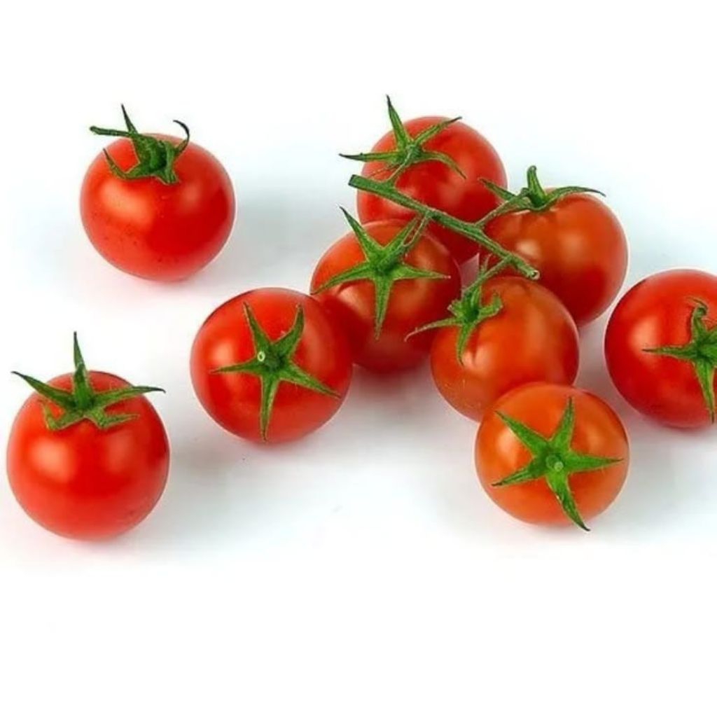 Tomat Cherry Segar - Kualitas Super, Segar, dan Praktis