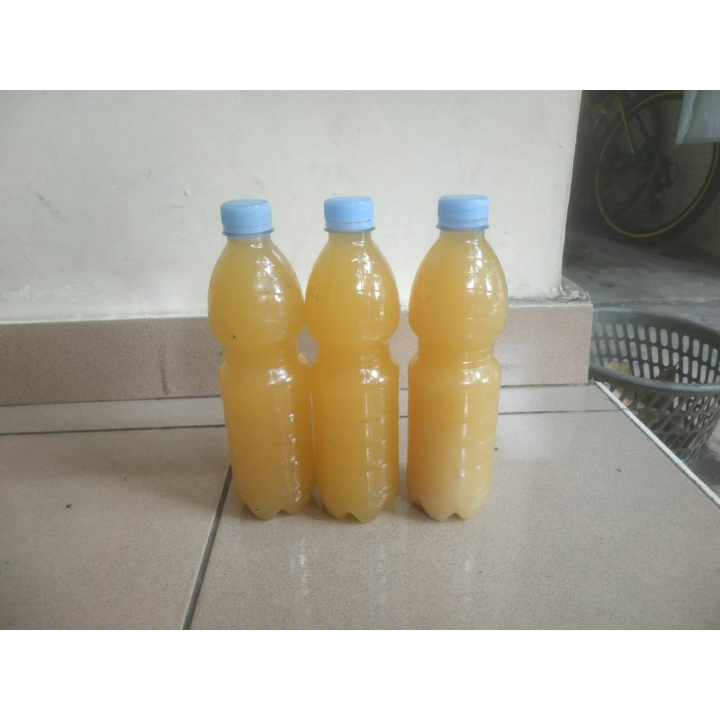 minyak gajih ayam murni 600 ml