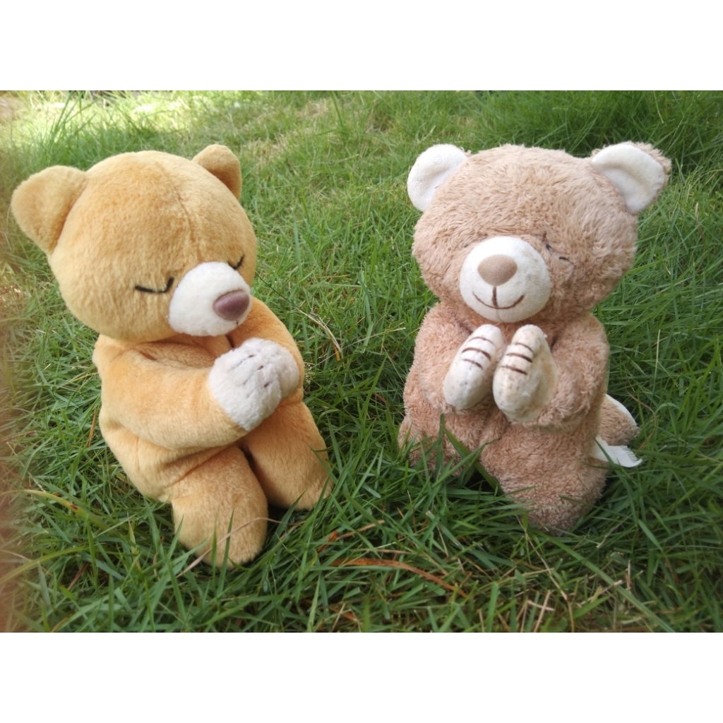 boneka teddy brown berdoa sepaket